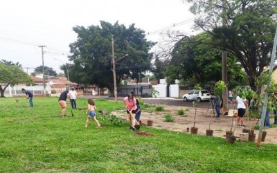 Prefeitura executa projeto desenvolvido por estudante, para florestar áreas com baixa densidade arbórea.