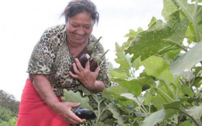 Projeto de Economia Solidária do Fac muda a vida de mulheres  donas de casa e aposentadas.