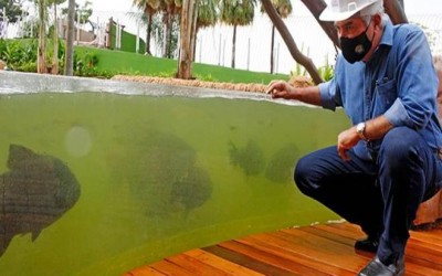 Tanques do Aquário do Pantanal começam a receber peixes