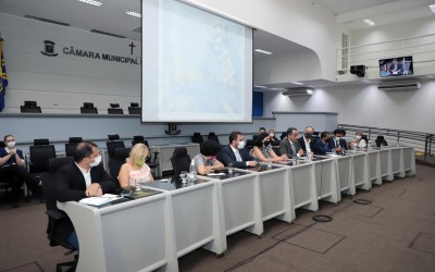 Audiência na Câmara discute vacinação contra a covid-19.