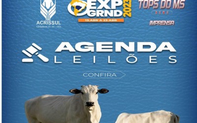 Agenda de leilões da Acrissul Expogrande-2023.