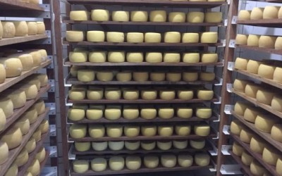 PREFEITURA ANUNCIA DATA DA FESTA DO QUEIJO EM ROCHEDINHO.