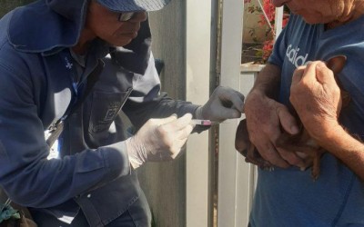 Dia Mundial das Zoonoses: saiba o que são e como evitá-las.