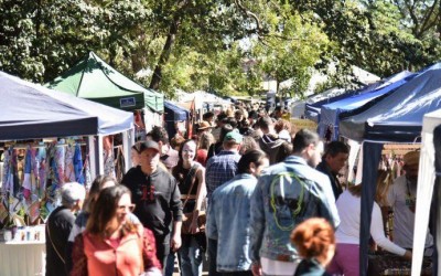 Feira Bosque da Paz acontece neste domingo em Campo Grande.