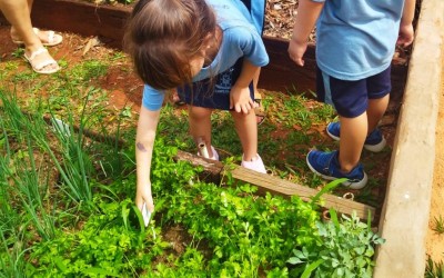 FAC auxilia na implantação de horta na Emei da Base Aérea.