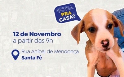 Prefeitura realiza feira de adoção de pets neste domingo.