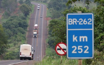 Governo lança edital público de licitação da Rota da Celulose.