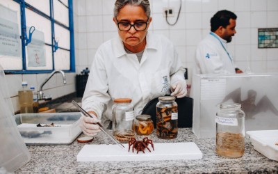 Além do atendimento médico, onde mais o SUS atua? 