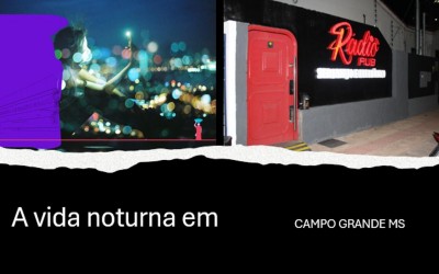 Câmara debate lazer e segurança na vida noturna da Capital.