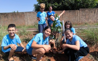 Prefeitura promove plantio de 25 mudas em escola da Capital.