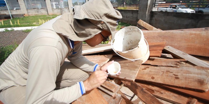 Dengue cai 63% em Campo Grande com avanço do Wolbachia.