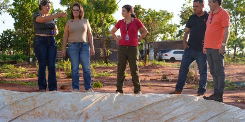 Sem luz e com perdas na produção, famílias da Agrovila Campão Orgânico pedem regularização e dignidade.