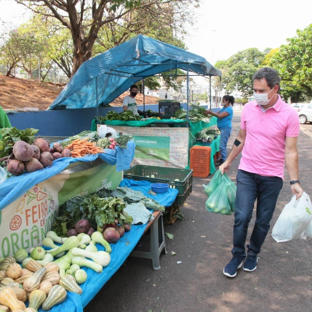 Olá Campo Grande! Aproveitei este sábado (25) e trouxe pra casa produtos fresquinhos da nossa @feiraorganicacg. 