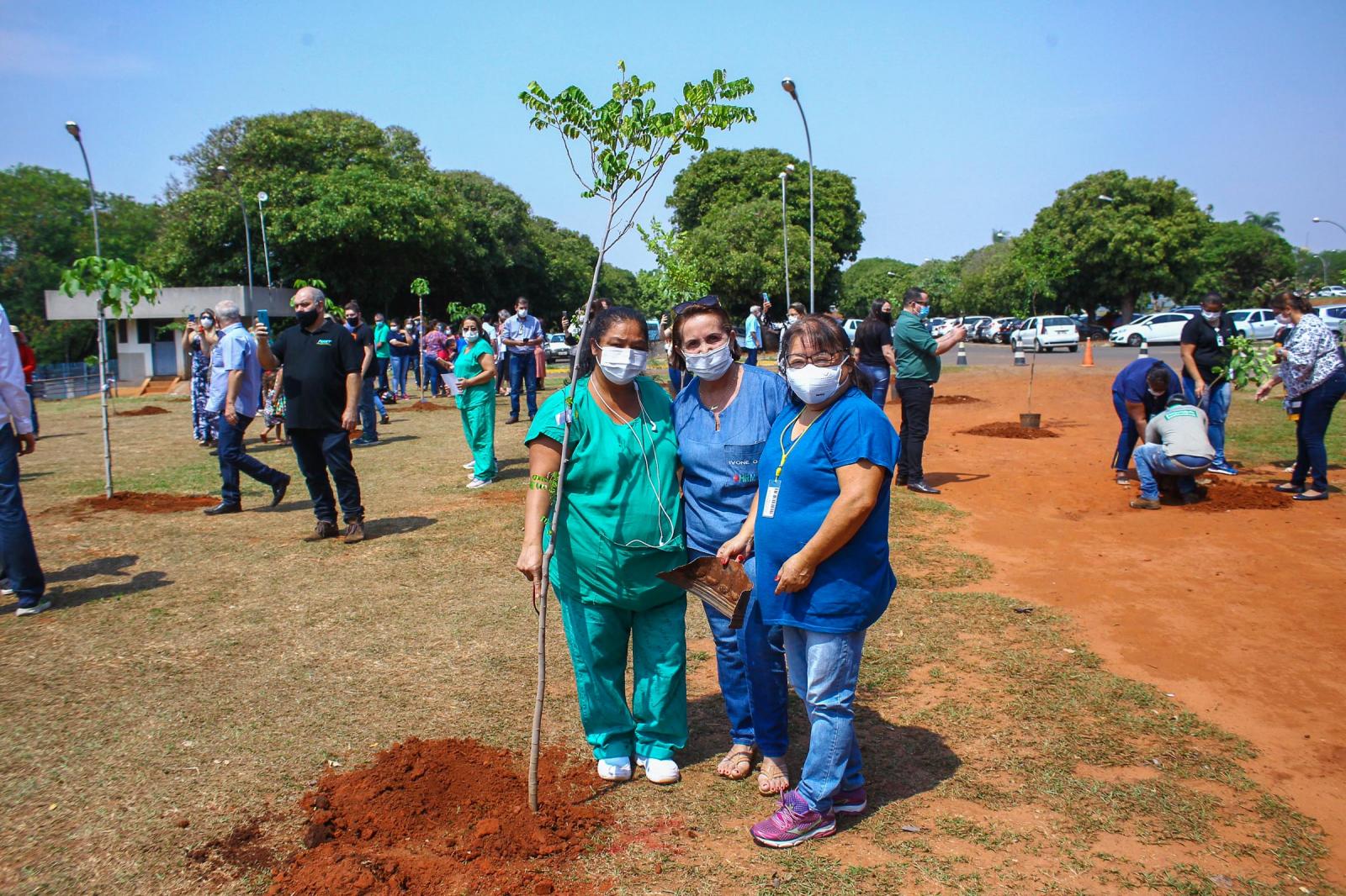 EMOÇÃO TOMA CONTA EM ATO QUE HOMENAGEIA COM PLANTIO DE IPÊS SERVIDORES VITIMADOS PELA COVID-19.