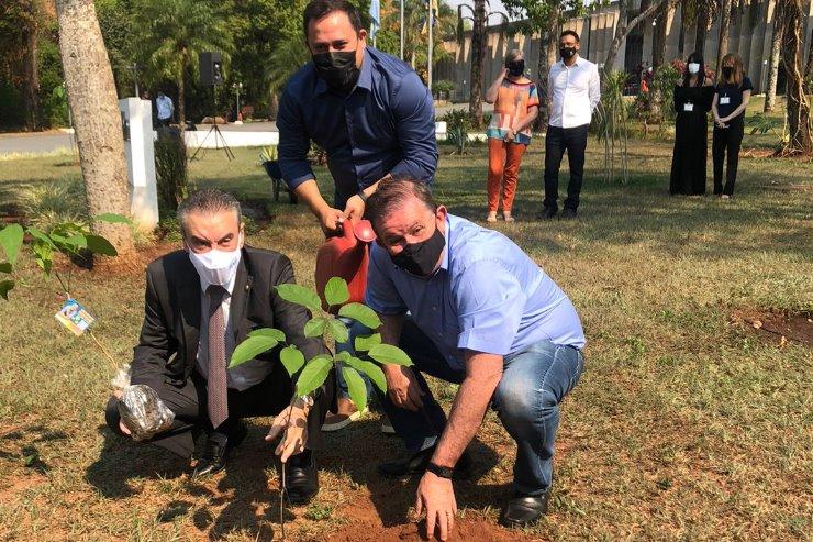 Plantio e distribuição de ipês marcam Dia da Árvore na Assembleia Legislativa de MS.