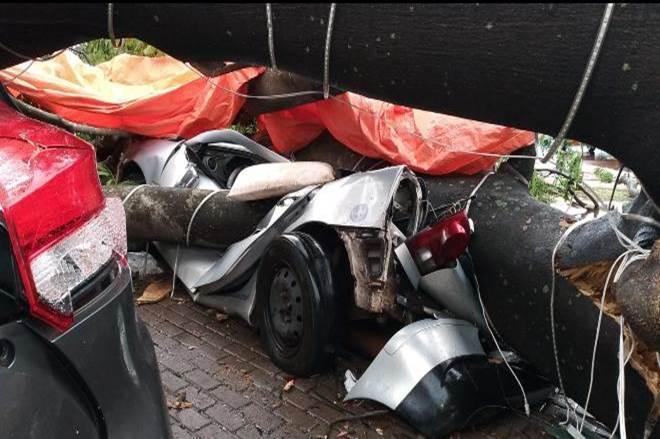 “Nunca vi isso”, diz Marquinhos sobre “pior temporal de 100 anos”