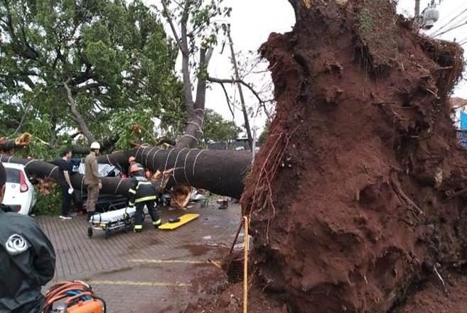 “Nunca vi isso”, diz Marquinhos sobre “pior temporal de 100 anos”