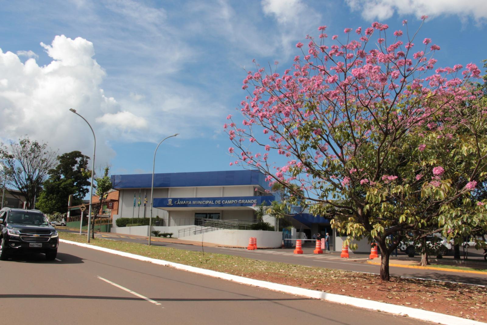 Câmara vai discutir importância de livros regionais no ensino escolar.