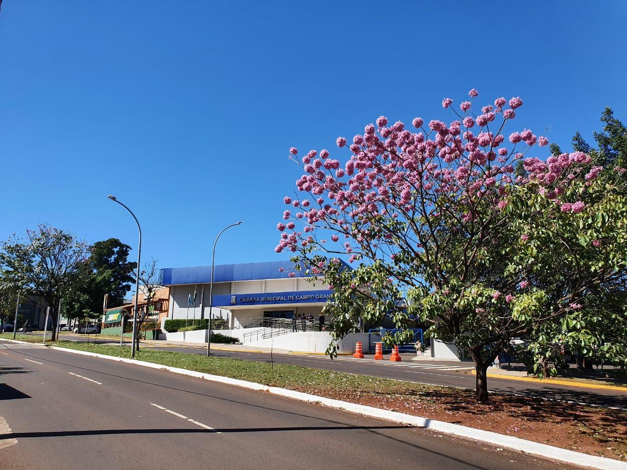Comissão de Cultura convoca audiência pública fiscalizadora na Câmara. Comissão de Cultura convoca audiência pública fiscalizadora na Câmara.