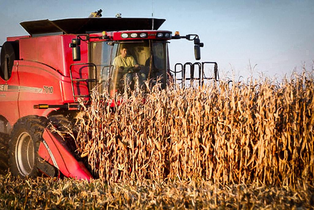 Governo Federal concede subsídio de 20% para seguro rural paramétrico Governo Federal concede subsídio de 20% para seguro rural paramétrico