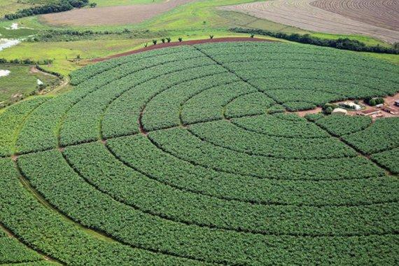 Governo Federal  publica novas regras para registro de defensivos agrícolas.