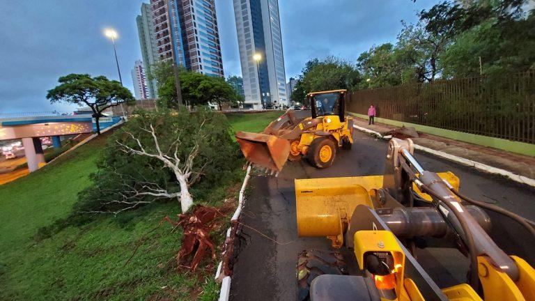 Prefeitura mobiliza equipes para solucionar estragos da chuva e informa canais de atendimento.