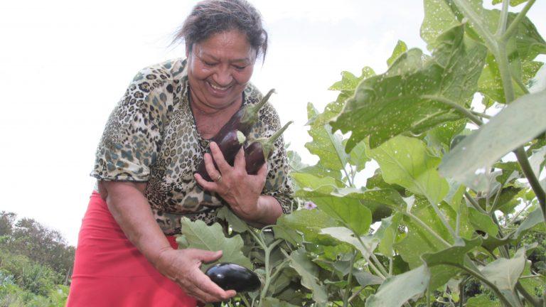 Projeto de Economia Solidária do Fac muda a vida de mulheres  donas de casa e aposentadas.