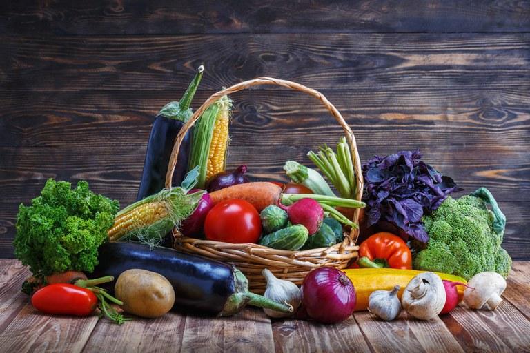 Pesquisa confirma segurança para consumo dos vegetais comercializados no país Pesquisa confirma segurança para consumo dos vegetais comercializados no país