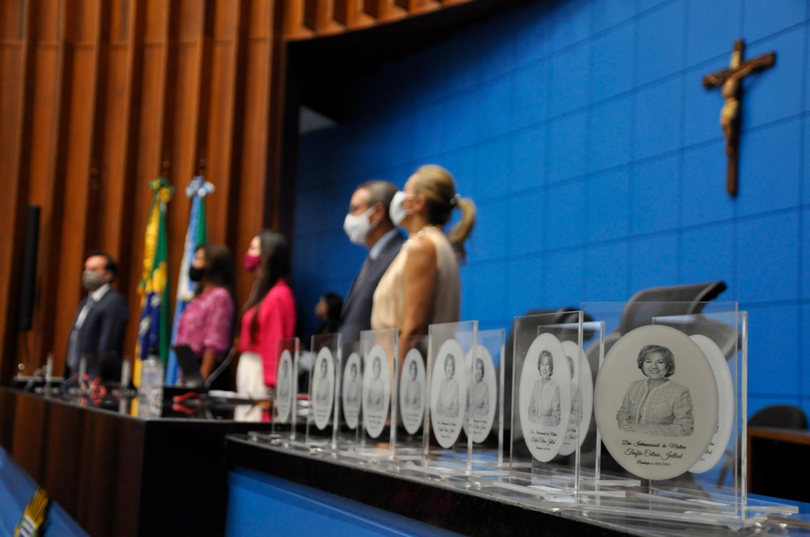 Debates, eventos e homenagens virtuais movimentaram o ano no Legislativo.