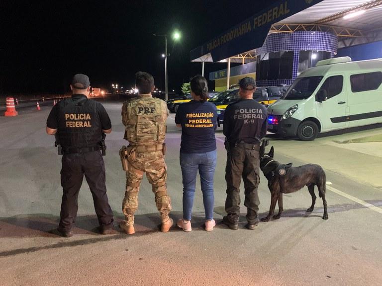 Fiscalização:  Vigifronteira apreendeu mais de mil toneladas de produtos irregulares e clandestinos na fronteira brasileira Fiscalização:  Vigifronteira apreendeu mais de mil toneladas de produtos irregulares e clandestinos na fronteira brasileira