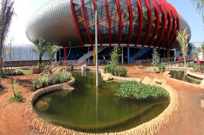 Aquário do Pantanal será gerido por empresa com atrações em Fernando de Noronha Aquário do Pantanal será gerido por empresa com atrações em Fernando de Noronha