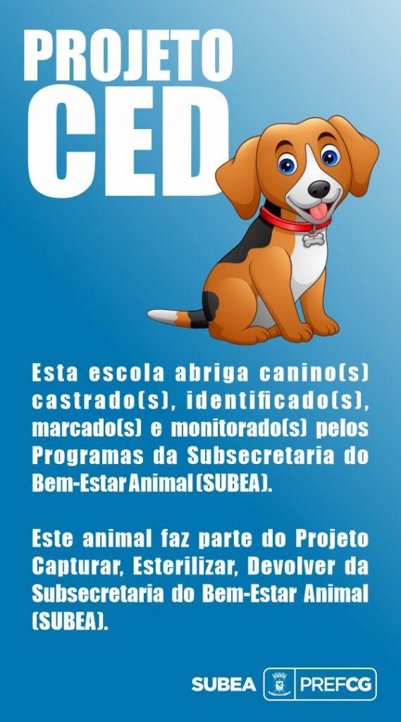 PREFEITURA LANÇA PROJETO PARA CASTRAR ANIMAIS NAS ESCOLAS MUNICIPAIS DE CAMPO GRANDE.