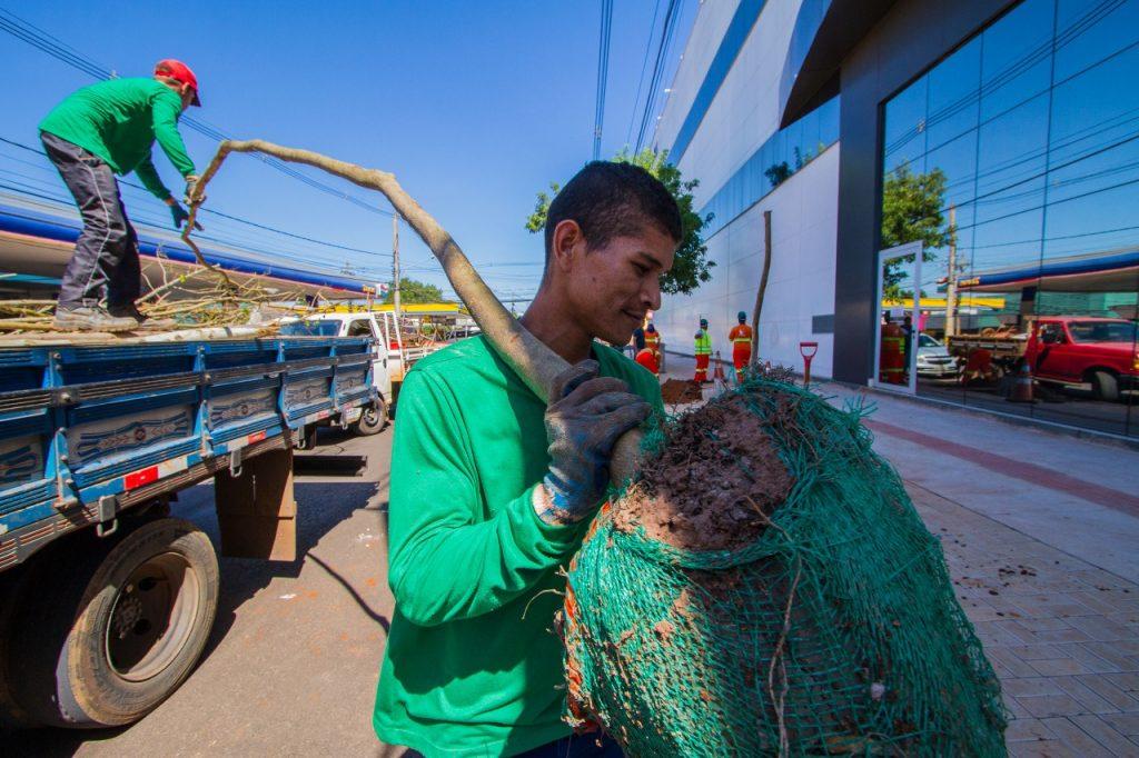 NOVO PAISAGISMO TERÁ PLANTIO DE 600 ÁRVORES NO QUADRILÁTERO CENTRAL.