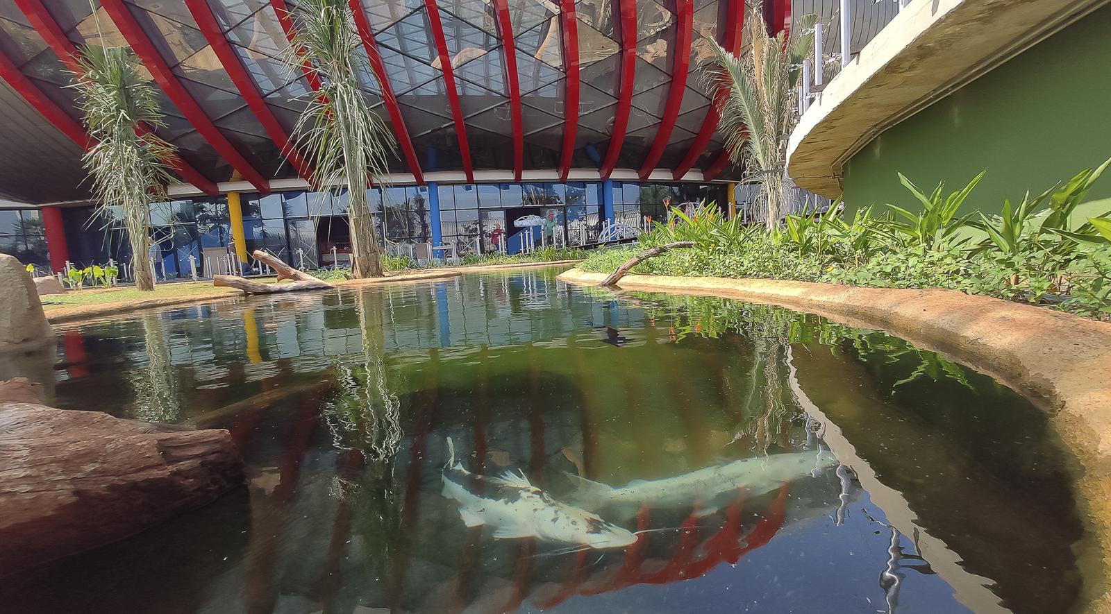 Inauguração do Aquário do Pantanal acontece na próxima segunda-feira