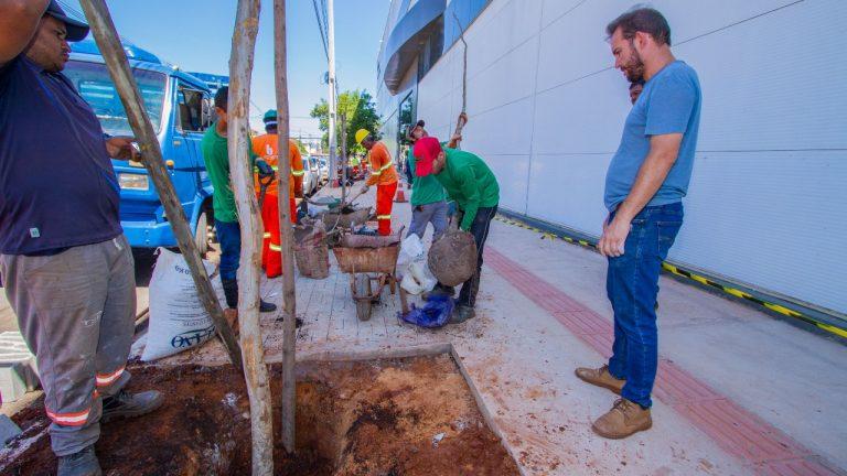 NOVO PAISAGISMO TERÁ PLANTIO DE 600 ÁRVORES NO QUADRILÁTERO CENTRAL.
