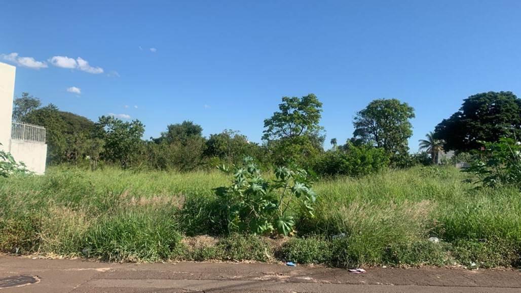 Proposta de Ronilço Guerreiro, Audiência Pública para discutir situação de terrenos baldios na Capital acontece na sexta-feira.