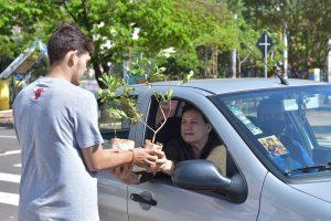 PREFEITURA CELEBRA SEMANA DA ÁRVORE COM DISTRIBUIÇÃO DE 15 MIL MUDAS FRUTÍFERAS.