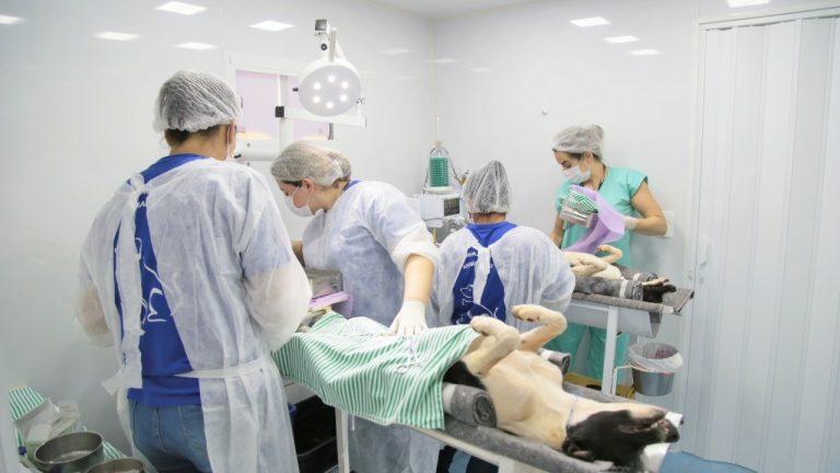 CCZ INICIA CADASTRAMENTO DE TUTORES DA REGIÃO DO ALVES PEREIRA PARA CASTRAÇÃO DE CÃES.