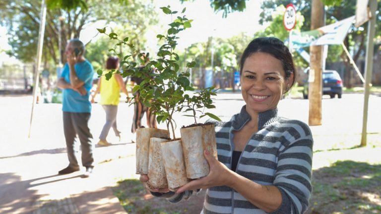 PREFEITURA CELEBRA SEMANA DA ÁRVORE COM DISTRIBUIÇÃO DE 15 MIL MUDAS FRUTÍFERAS.