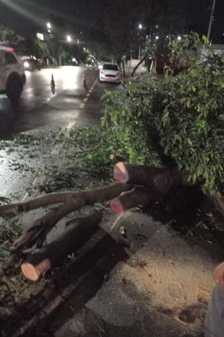 A Defesa Civil Municipal de Campo Grande esteve nas ruas da cidade trabalhando duro para normalizar o mais rápido possível a cidade