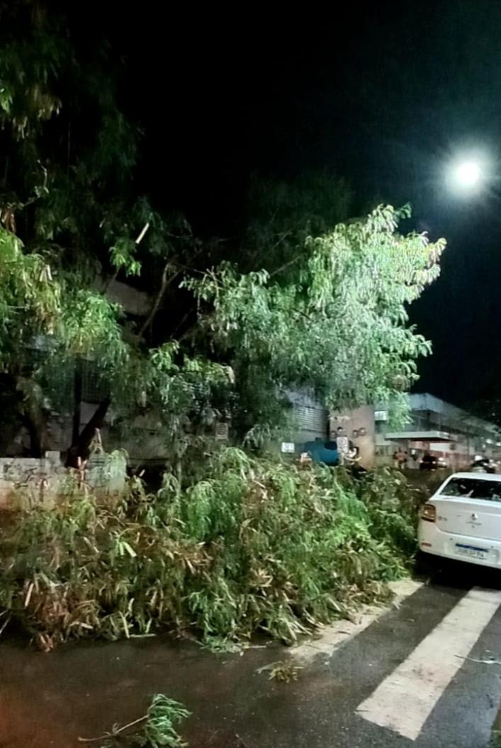 A Defesa Civil Municipal de Campo Grande esteve nas ruas da cidade trabalhando duro para normalizar o mais rápido possível a cidade