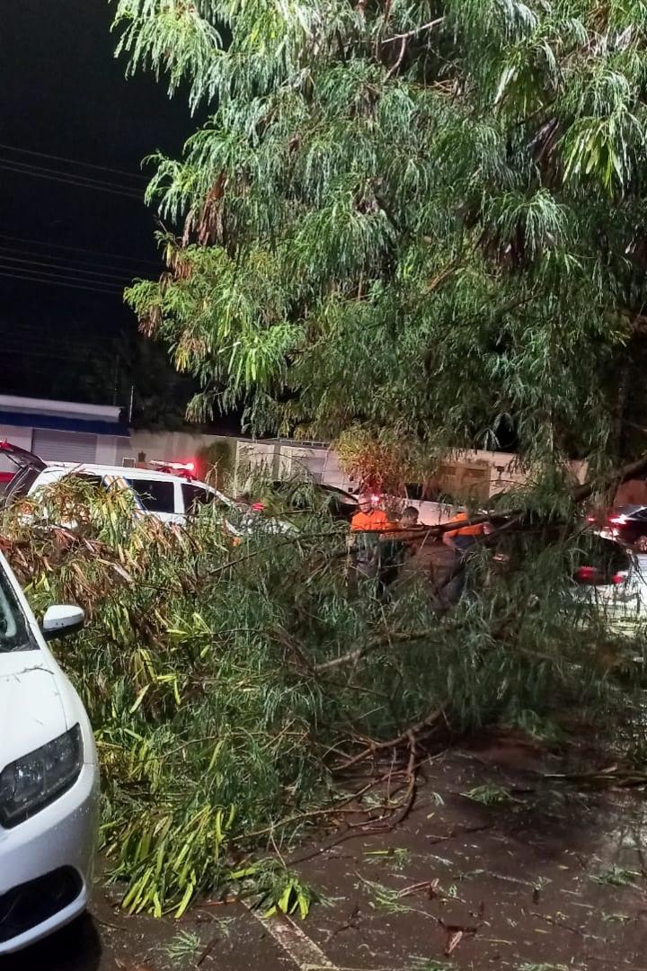 A Defesa Civil Municipal de Campo Grande esteve nas ruas da cidade trabalhando duro para normalizar o mais rápido possível a cidade