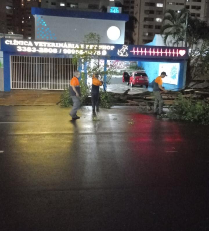 A Defesa Civil Municipal de Campo Grande esteve nas ruas da cidade trabalhando duro para normalizar o mais rápido possível a cidade