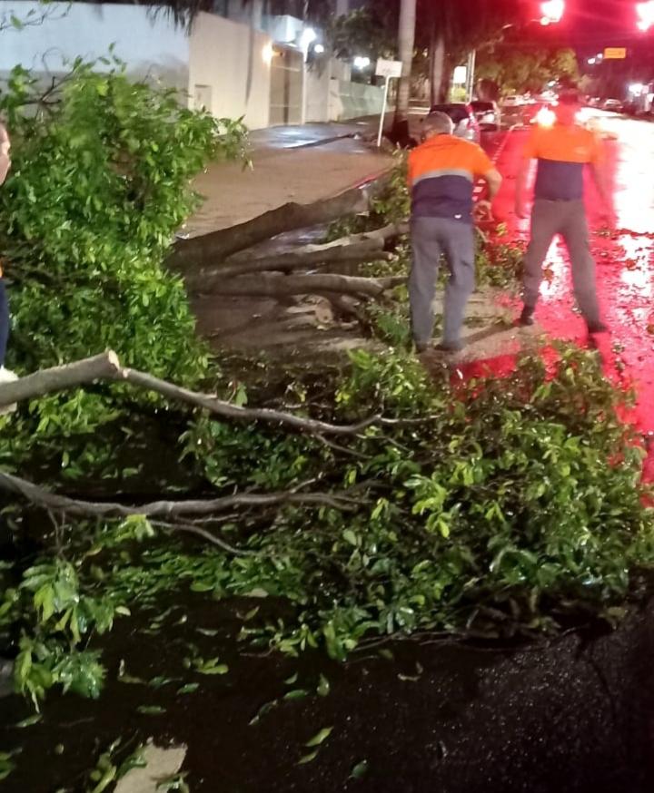 A Defesa Civil Municipal de Campo Grande esteve nas ruas da cidade trabalhando duro para normalizar o mais rápido possível a cidade