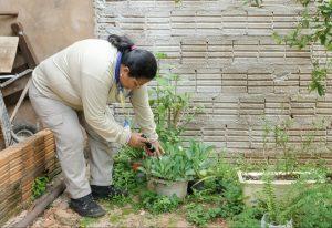 PREFEITURA LANÇA MEGA OPERAÇÃO DE COMBATE AO MOSQUITO AEDES AEGYPTI.