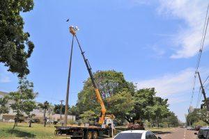 PREFEITURA COMEÇA A INSTALAR ILUMINAÇÃO DECORATIVA NA 14 DE JULHO, AVENIDAS E ROTATÓRIAS
