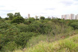 PREFEITURA VAI RECUPERAR “PISCINÃO” DO SÓTER PARA RETER 10 MILHÕES DE LITROS.