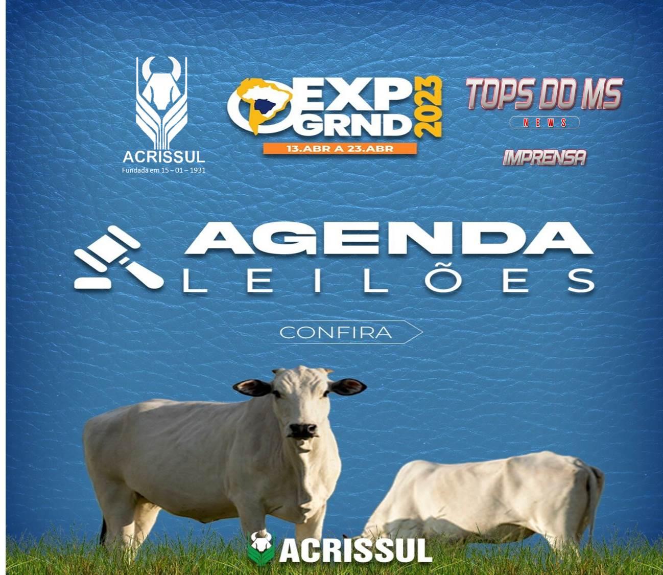 Agenda de leilões da Acrissul Expogrande-2023.