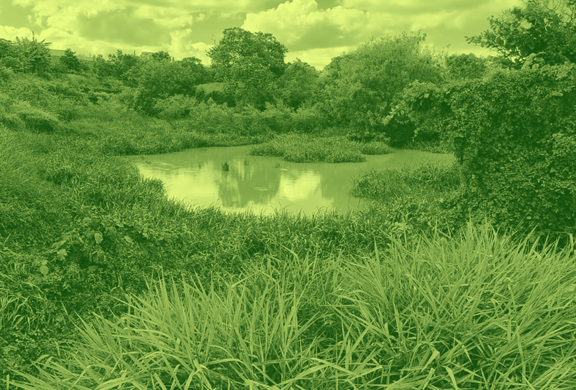 Audiência pública na quarta-feira discute situação do Bairro Água Limpa Park.