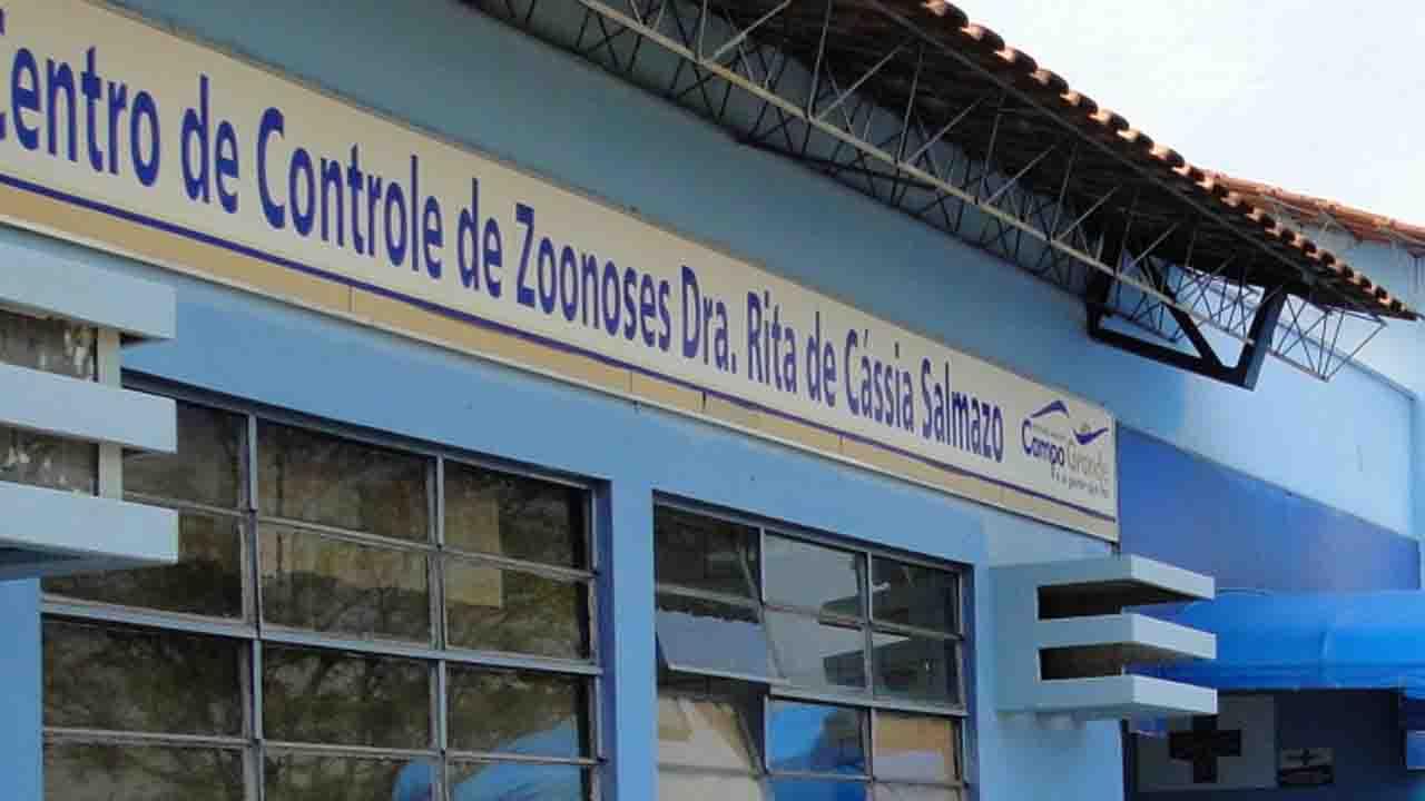 Campo Grande confirma 3° caso de raiva em morcegos e vai vacinar animais do Centro Campo Grande confirma 3° caso de raiva em morcegos e vai vacinar animais do Centro
